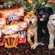 Natural Farm aims to offer all-natural treats, chews and bones to dogs that won’t break the bank. Pictured: Happy customers Shiba Inu Alibi, Lab mix Luna and Husky mix Maisy.